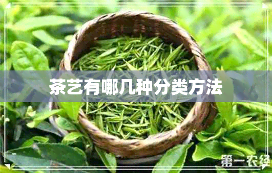 茶艺有哪几种分类方法