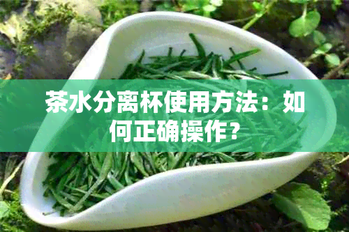 茶水分离杯使用方法：如何正确操作？