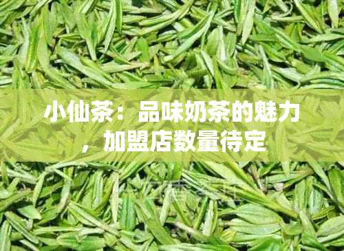 小仙茶：品味奶茶的魅力，加盟店数量待定