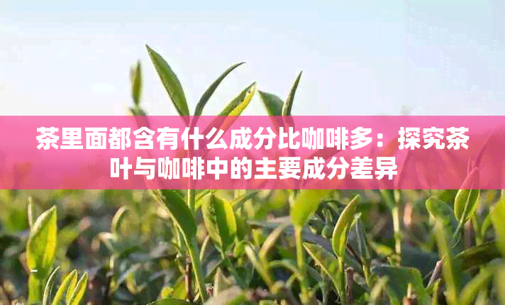 茶里面都含有什么成分比咖啡多：探究茶叶与咖啡中的主要成分差异