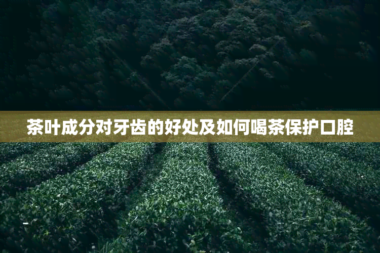 茶叶成分对牙齿的好处及如何喝茶保护口腔