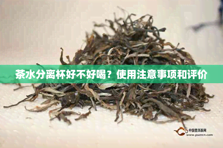 茶水分离杯好不好喝？使用注意事项和评价