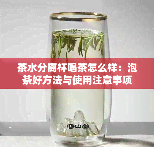 茶水分离杯喝茶怎么样：泡茶好方法与使用注意事项