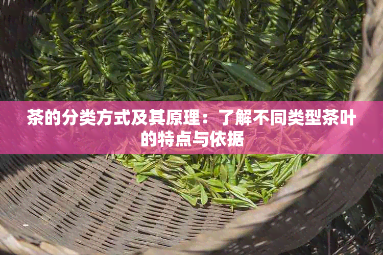 茶的分类方式及其原理：了解不同类型茶叶的特点与依据