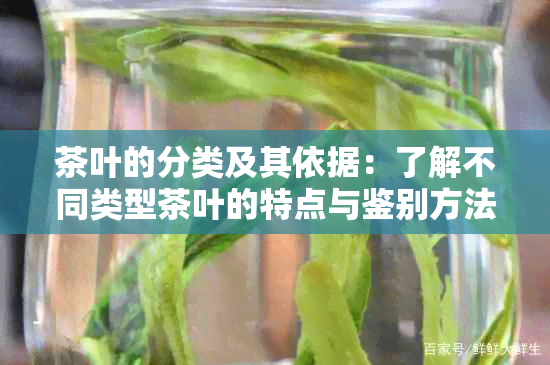 茶叶的分类及其依据：了解不同类型茶叶的特点与鉴别方法