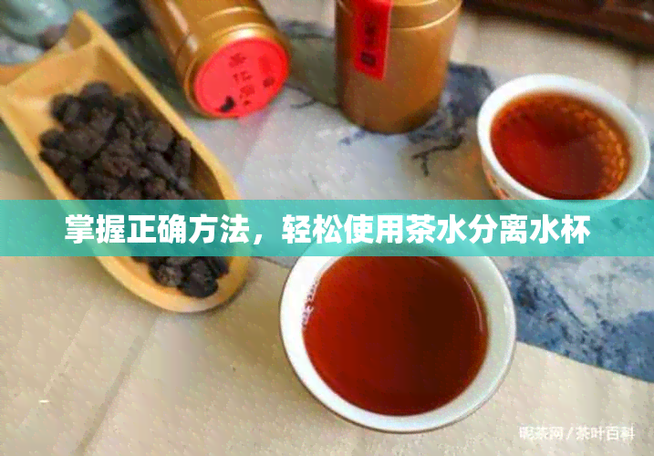 掌握正确方法，轻松使用茶水分离水杯