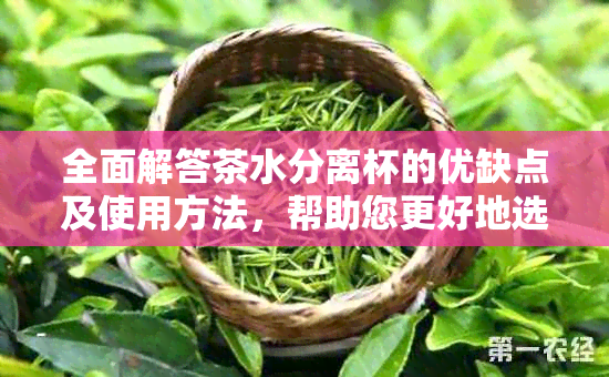 全面解答茶水分离杯的优缺点及使用方法，帮助您更好地选择和使用茶水分离杯