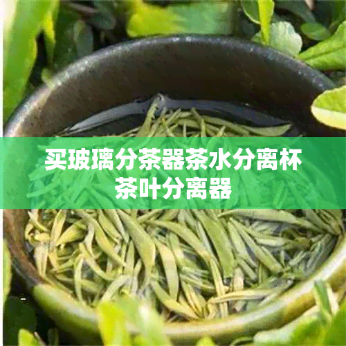 买玻璃分茶器茶水分离杯茶叶分离器