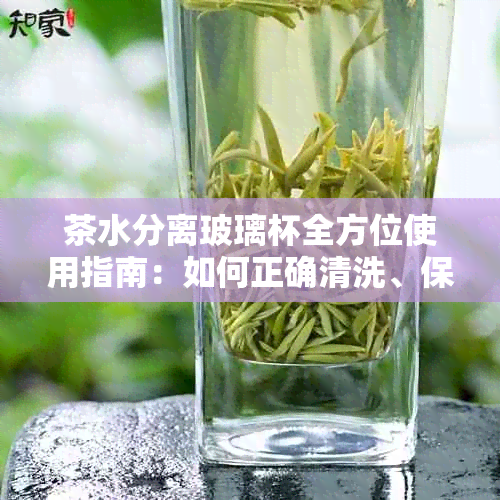 茶水分离玻璃杯全方位使用指南：如何正确清洗、保养及操作