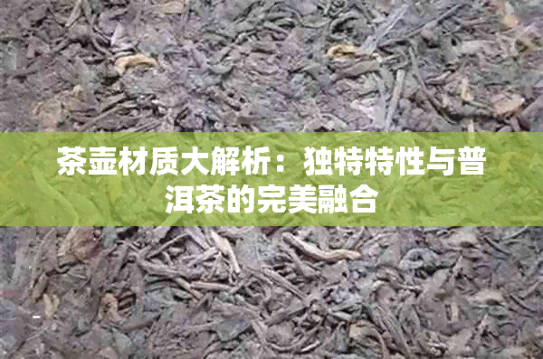 茶壶材质大解析：独特特性与普洱茶的完美融合