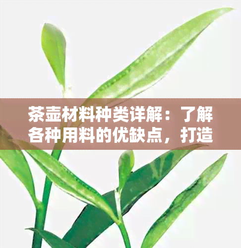 茶壶材料种类详解：了解各种用料的优缺点，打造最适合您的茶壶