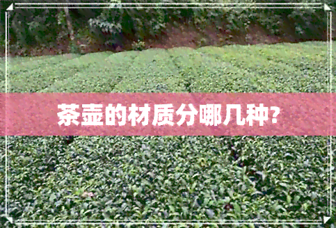 茶壶的材质分哪几种?