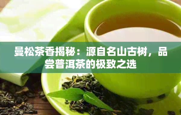 曼松茶香揭秘：源自名山古树，品尝普洱茶的极致之选