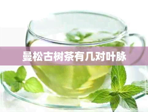 曼松古树茶有几对叶脉