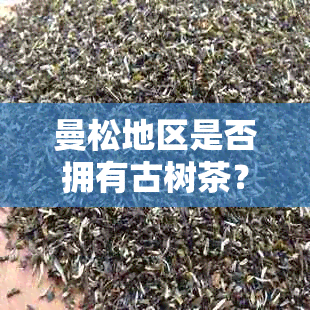 曼松地区是否拥有古树茶？探寻曼松古树茶的真相与品质