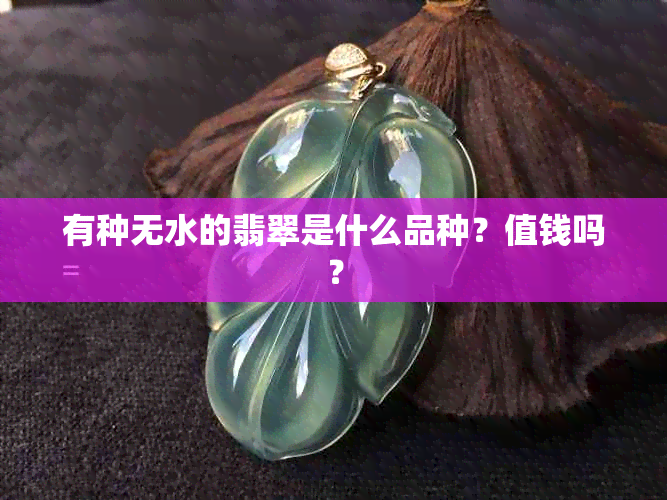 有种无水的翡翠是什么品种？值钱吗？