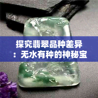 探究翡翠品种差异：无水有种的神秘宝藏