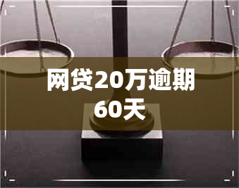 网贷20万逾期60天