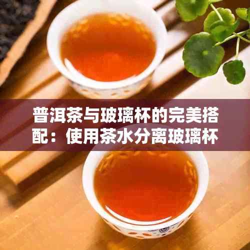 普洱茶与玻璃杯的完美搭配：使用茶水分离玻璃杯泡茶优缺点分析