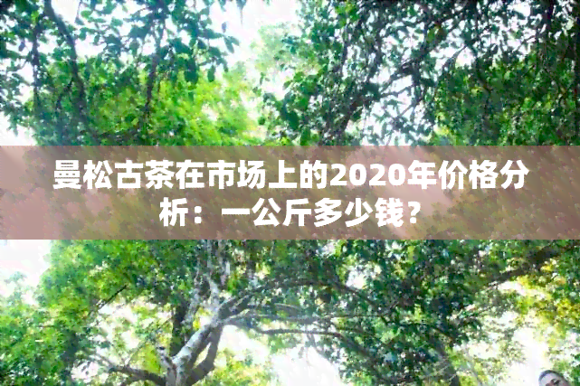 曼松古茶在市场上的2020年价格分析：一公斤多少钱？