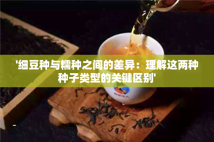 '细豆种与糯种之间的差异：理解这两种种子类型的关键区别'