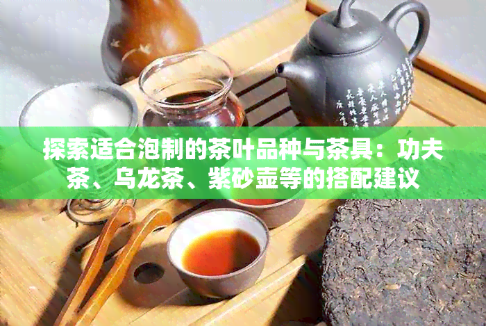 探索适合泡制的茶叶品种与茶具：功夫茶、乌龙茶、紫砂壶等的搭配建议