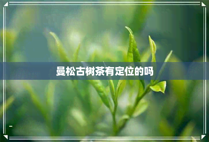 曼松古树茶有定位的吗