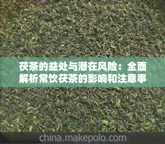 茯茶的益处与潜在风险：全面解析常饮茯茶的影响和注意事项