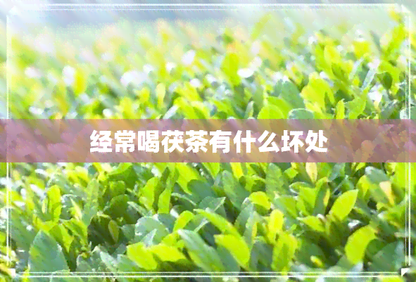 经常喝茯茶有什么坏处