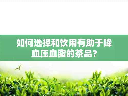 如何选择和饮用有助于降血压血脂的茶品？