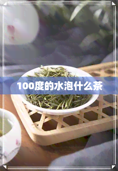 100度的水泡什么茶