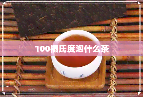 100摄氏度泡什么茶