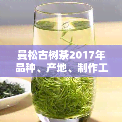 曼松古树茶2017年品种、产地、制作工艺及价格全面解析：如何选择购买？