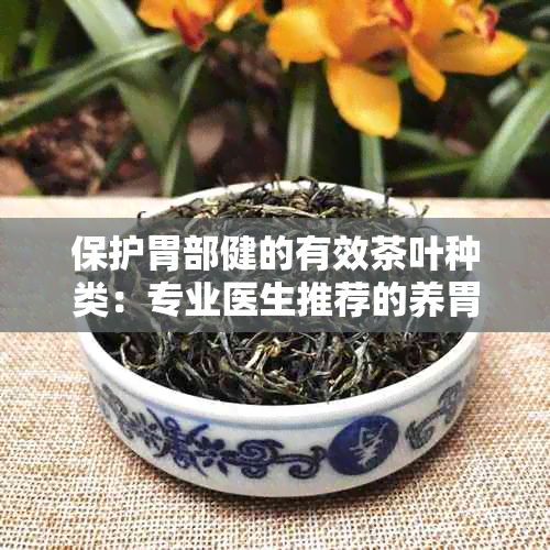 保护胃部健的有效茶叶种类：专业医生推荐的养胃茶品