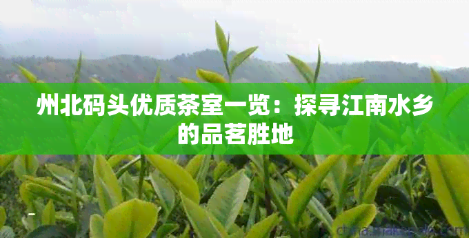 州北码头优质茶室一览：探寻江南水乡的品茗胜地