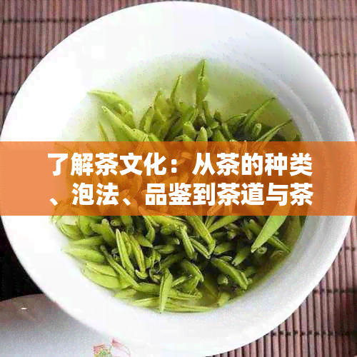 了解茶文化：从茶的种类、泡法、品鉴到茶道与茶艺，一网打尽