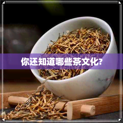 你还知道哪些茶文化?