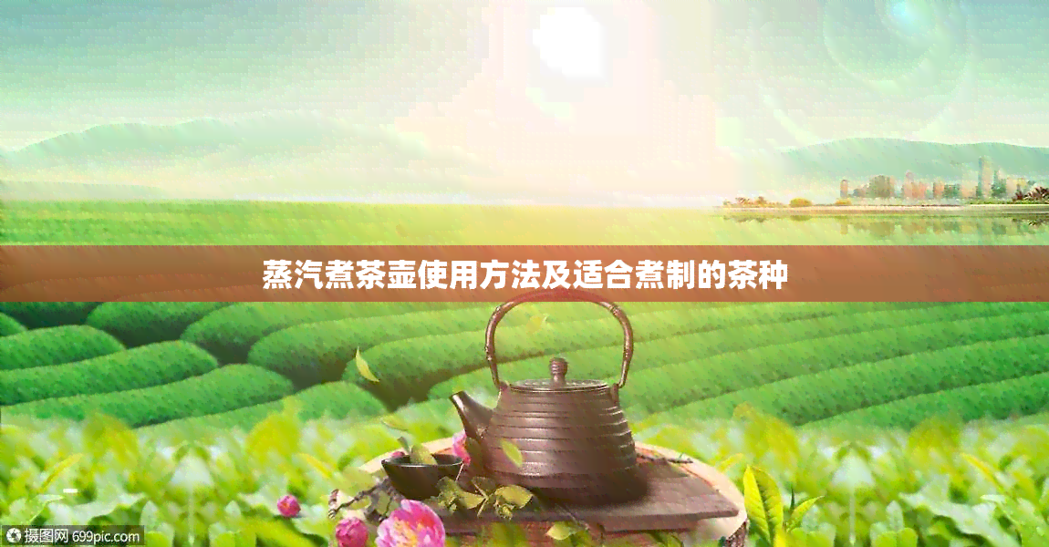 蒸汽煮茶壶使用方法及适合煮制的茶种