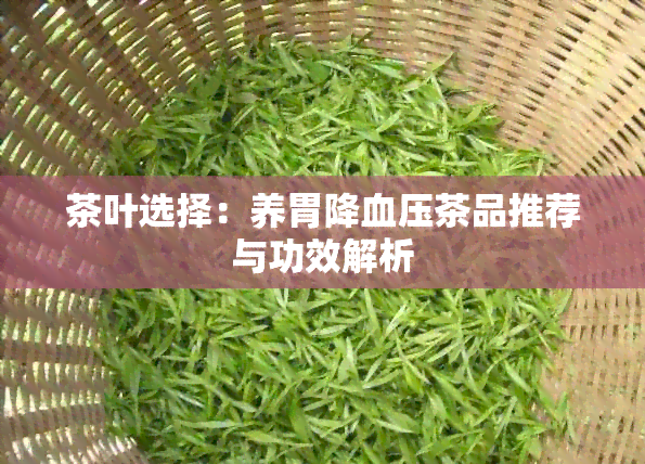 茶叶选择：养胃降血压茶品推荐与功效解析