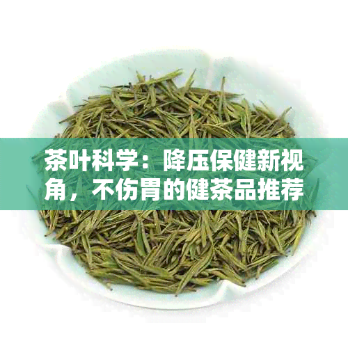 茶叶科学：降压保健新视角，不伤胃的健茶品推荐