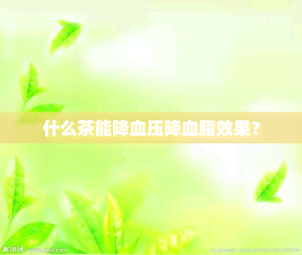 什么茶能降血压降血脂效果？