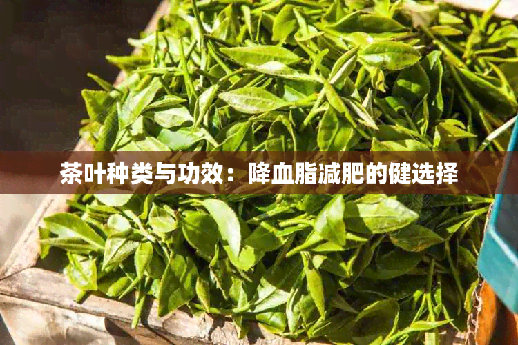 茶叶种类与功效：降血脂减肥的健选择