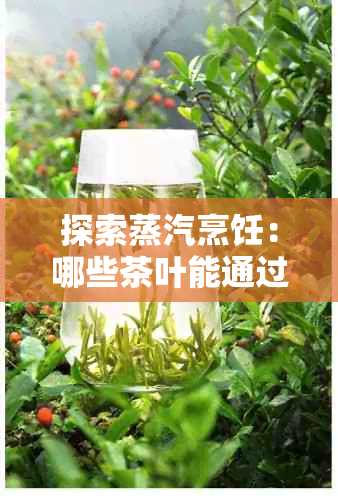 探索蒸汽烹饪：哪些茶叶能通过蒸汽煮法更好地展现其风味？