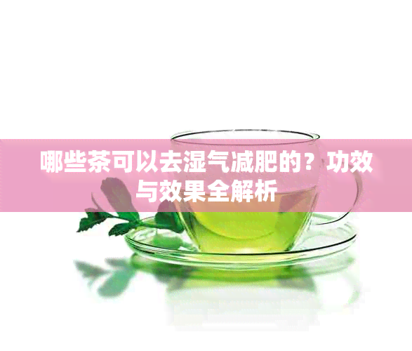 哪些茶可以去湿气减肥的？功效与效果全解析