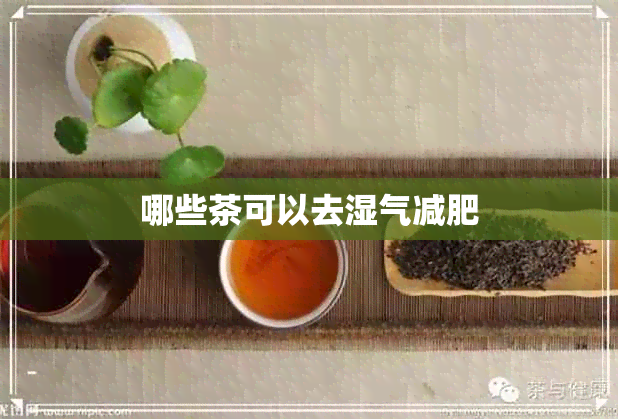 哪些茶可以去湿气减肥