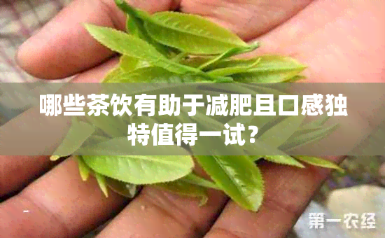 哪些茶饮有助于减肥且口感独特值得一试？