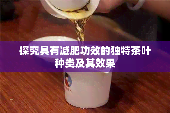 探究具有减肥功效的独特茶叶种类及其效果