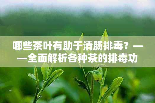 哪些茶叶有助于清肠排？——全面解析各种茶的排功效及适用人群