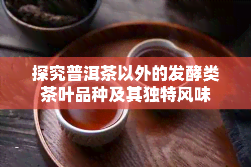 探究普洱茶以外的发酵类茶叶品种及其独特风味