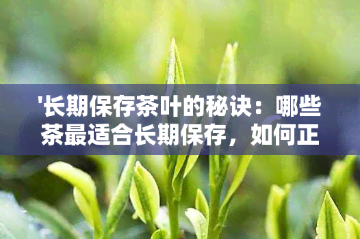 '长期保存茶叶的秘诀：哪些茶最适合长期保存，如何正确存？'